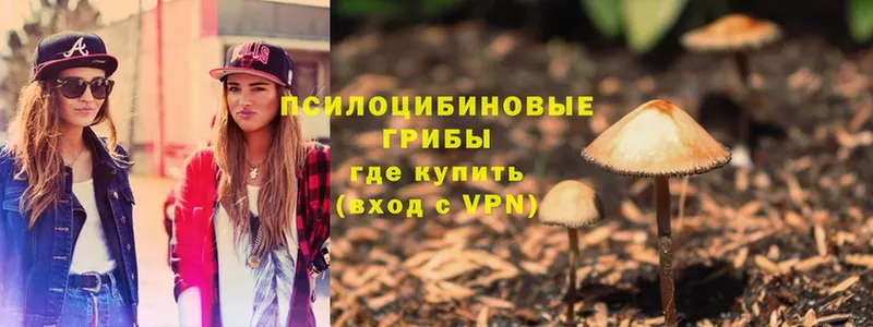 mega ONION  Гудермес  Псилоцибиновые грибы Psilocybe  как найти наркотики 